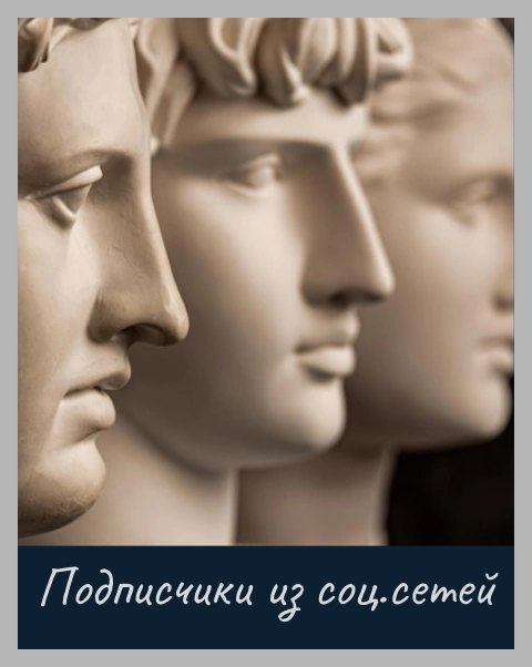 Подписчики из Соц.сетей